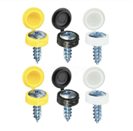 Number Plate Screws